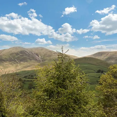 Bluebell Sedbergh